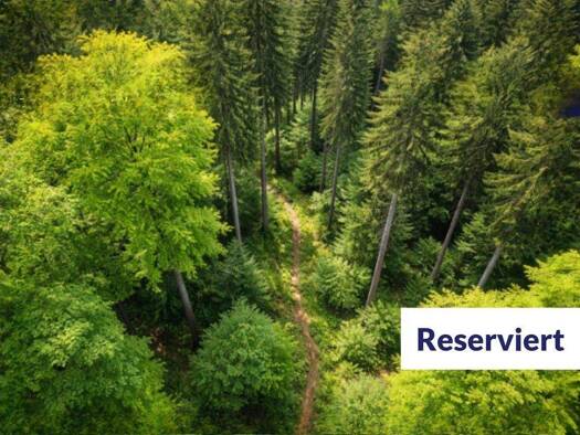 Land-/Forstwirtschaft zum Kauf 20.000 € 13.601 m² Grundstück Eigelscheid Winterspelt 54616