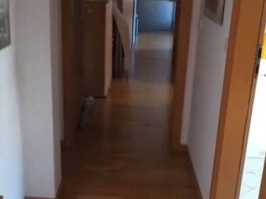 Wohnung zur Miete 900 € 4 Zimmer 92,6 m² 3. Geschoss frei ab 01.11.2026 Lessingstraße 28 Paulusviertel Halle (Saale) 06114