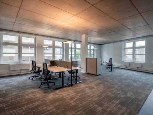 Bürofläche zur Miete - Erstbezug 3.600 € 1 Zimmer 225 m² Bürofläche Hamburg 20539