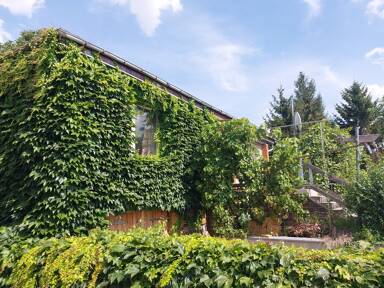 Einfamilienhaus zum Kauf 145.000 € 3 Zimmer 82 m² 377 m² Grundstück Meuschau Merseburg 06217
