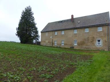 Einfamilienhaus zum Kauf 119.000 € 10 Zimmer 194 m² 2.125 m² Grundstück Mügeln Mügeln 04769