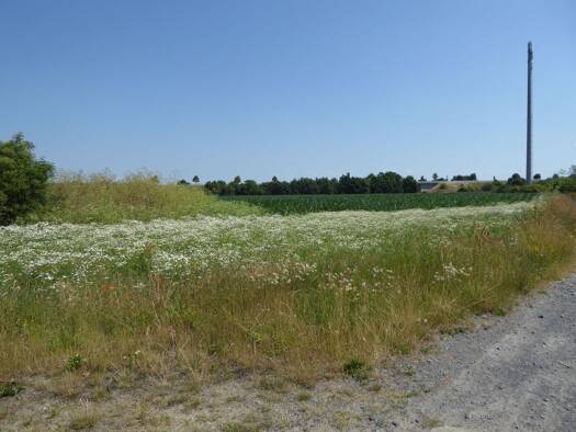 Gewerbepark zum Kauf 116.865 € 7.791 m² Grundstück Großzöberitz Zörbig 06780