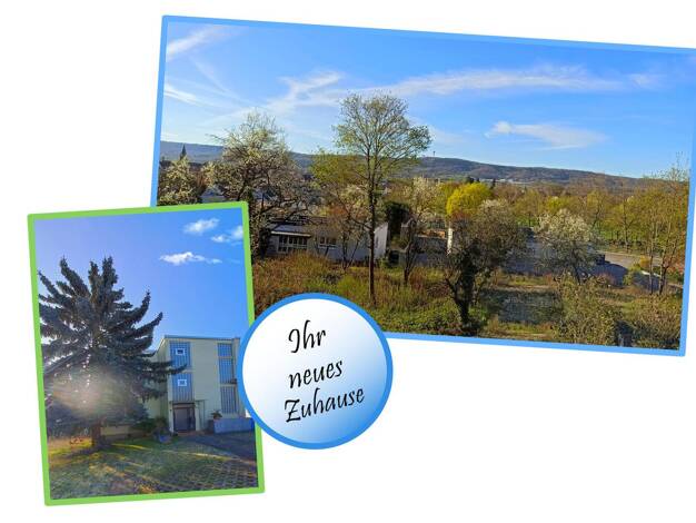 Wohnung zum Kauf 245.000 € 4 Zimmer 105 m² Güglingen 74363