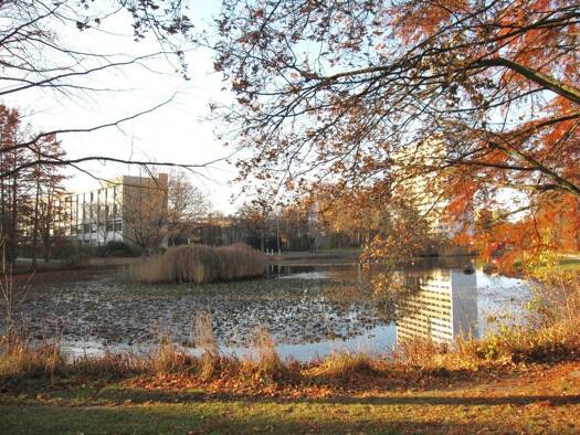 Wohnung zur Miete 590 € 2 Zimmer 55 m² 5. Geschoss Elise-Späth-Str. 8 Bruck Erlangen 91058