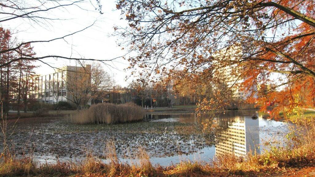 Wohnung zur Miete 590 € 2 Zimmer 55 m² 5. Geschoss Elise-Späth-Str. 8 Bruck Erlangen 91058