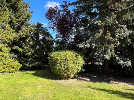 Grundstück zum Kauf 244.000 € 537 m² Grundstück Birkenstein Hoppegarten 15366