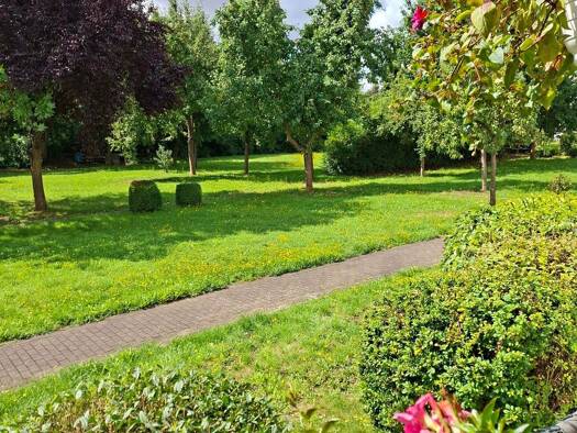 Wohnung zur Miete 504 € 4 Zimmer 89 m² EG Kurt-Wein-Straße 31 Nordhausen 99734