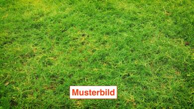 Grundstück zum Kauf 1.650.000 € 680 m² Grundstück Obermenzing München 81247