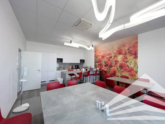 Bürofläche zur Miete 5.640 € 12 Zimmer 470 m² Bürofläche Dr. Herbert-Sperl-Ring 1 Leonding 4060