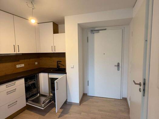 Wohnung zur Miete 660 € 1,5 Zimmer 41,1 m² 1. Geschoss frei ab sofort Asternweg Galgenberg Regensburg 93053