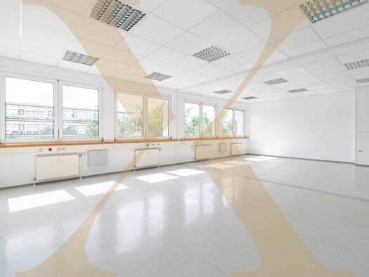 Büro zur Miete 545 € Grabenhof Wels 4600