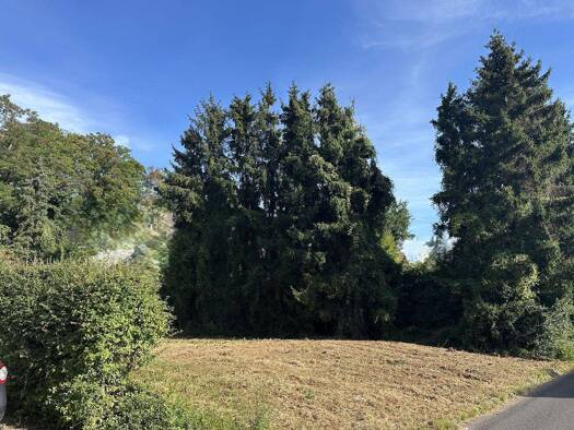 Grundstück zum Kauf 235.000 € 863 m² Grundstück Langerwehe 52379