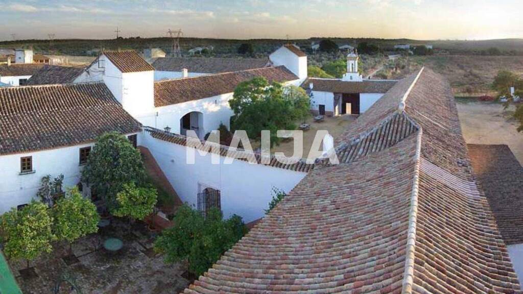 Villa zum Kauf 8.900.000 € 12 Zimmer 1.416 m² 19.642 m² Grundstück Seville Seville 41001