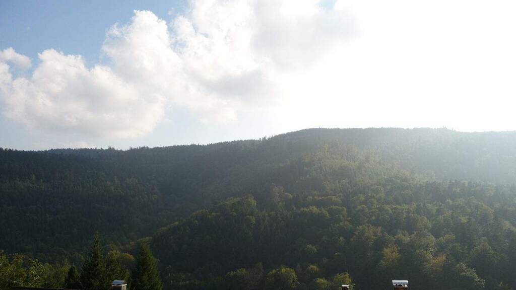 Wohnung zur Miete 595 € 2,5 Zimmer 70 m² UG frei ab sofort Bernbach Bad Herrenalb 76332