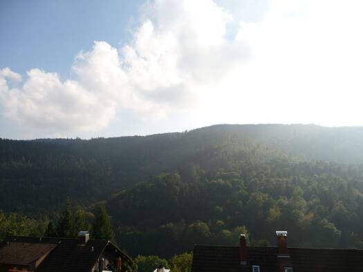 Wohnung zur Miete 595 € 2,5 Zimmer 69 m² Geschoss -1/3 frei ab sofort Bernbach Bad Herrenalb 76332
