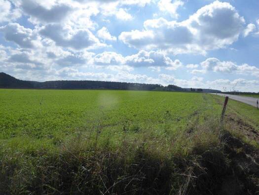 Land-/Forstwirtschaft zum Kauf 35.017 m² Grundstück Oberroßbach Oberroßbach Gmkg. 91463