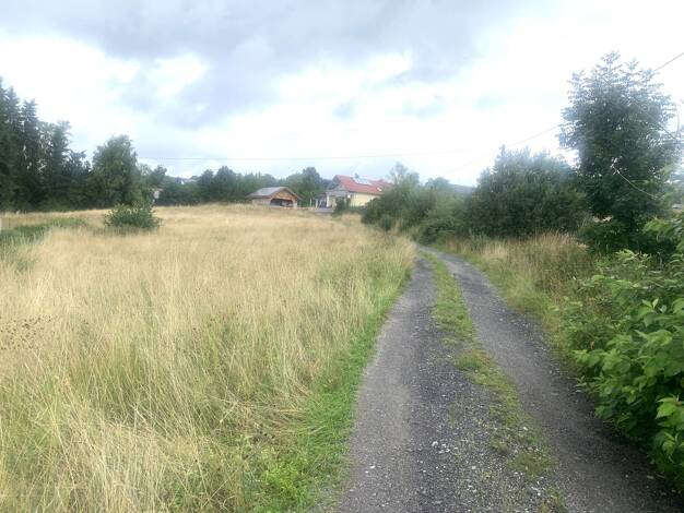 Grundstück zum Kauf 650.000 € 8.300 m² Grundstück Zwiesel Zwiesel 94227