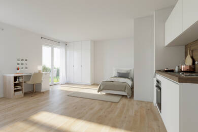 Wohnung zur Miete 618 € 1 Zimmer 35,7 m² EG frei ab sofort Bissingerstraße 6 Röthelheimpark Erlangen 91052