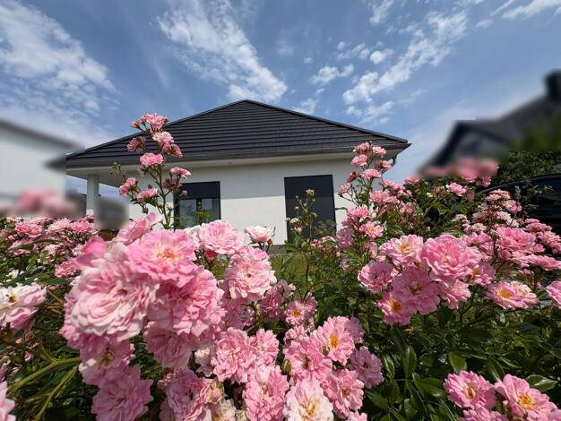 Bungalow zum Kauf 599.000 € 3 Zimmer 103 m² 367 m² Grundstück Glowe Glowe 18551