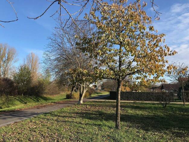 Grundstück zum Kauf provisionsfrei 475.000 € 835 m² Grundstück Spandau Berlin 13581