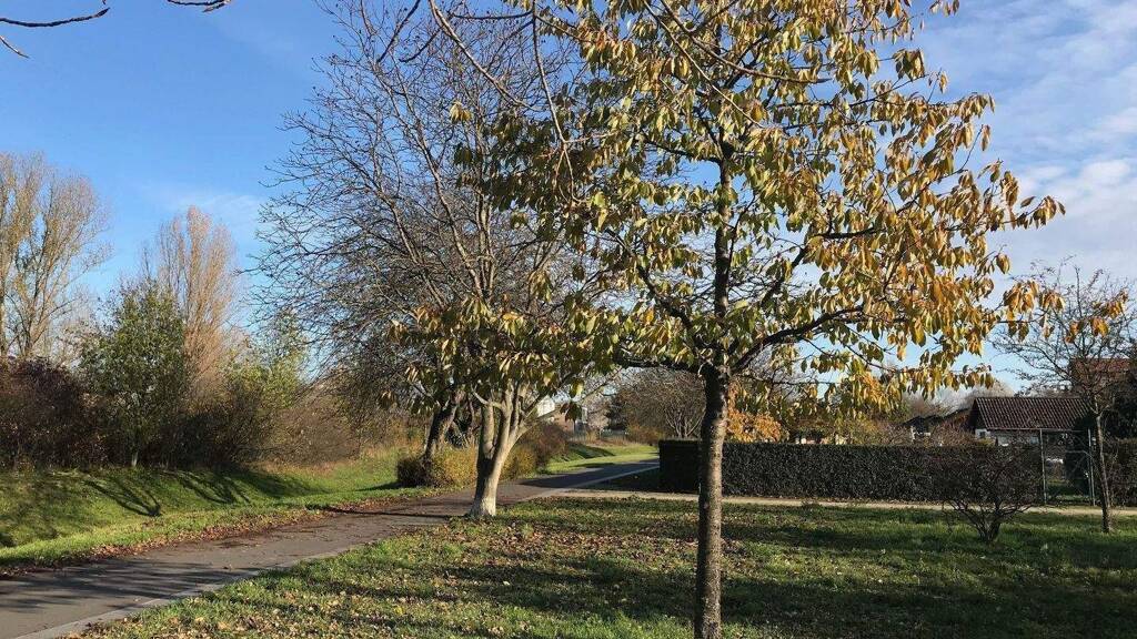 Grundstück zum Kauf provisionsfrei 475.000 € 835 m² Grundstück Spandau Berlin 13581