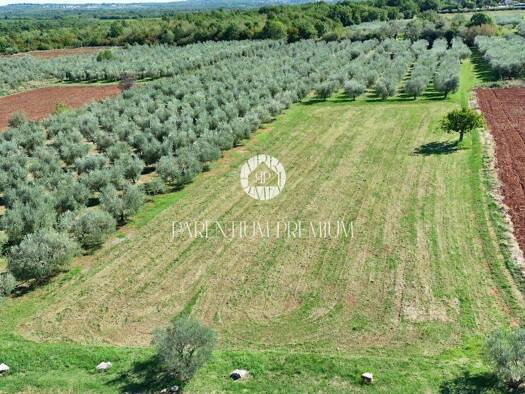 Wohn- und Gewerbegrundstück zum Kauf 629.000 € Poreč 52440