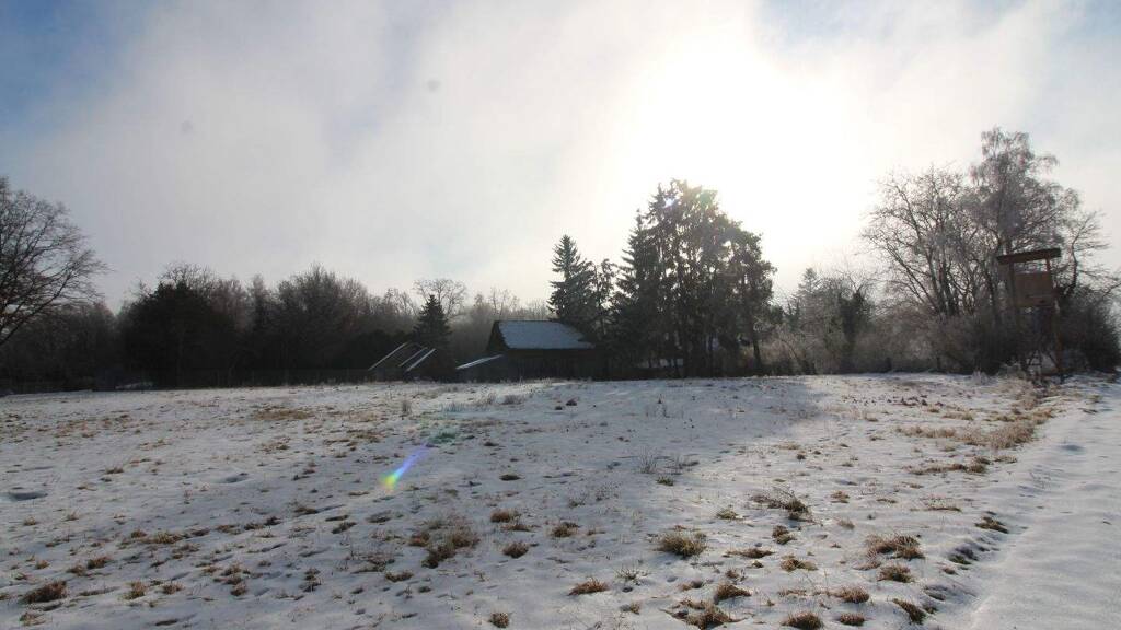 Sonstiges zum Kauf 255.000 € 65 m² 5.200 m² Grundstück Höhenberg Hagelstadt 93095