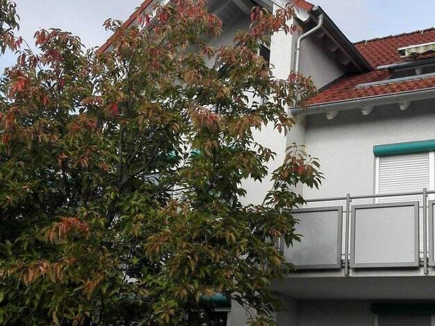 Wohnung zur Miete 950 € 3 Zimmer 78 m² 2. Geschoss frei ab 01.05.2026 Schwaigern 74193