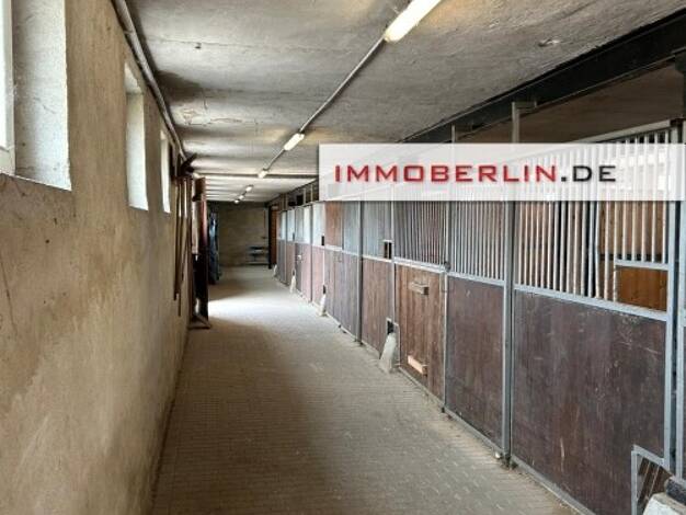 Land-/Forstwirtschaft zum Kauf 499.000 € 6.300 m² Grundstück Damsdorf Kloster Lehnin 14797