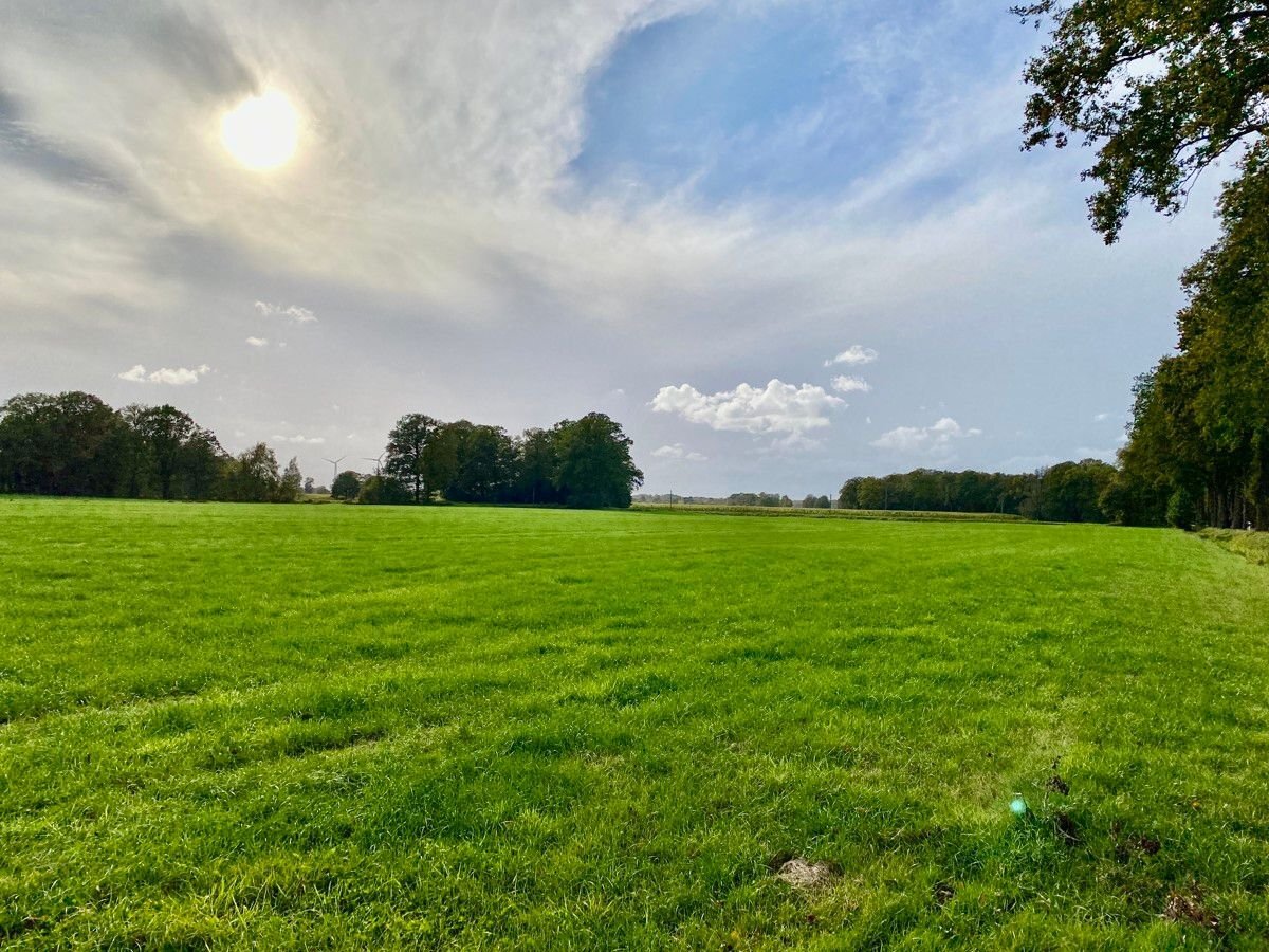 Land-/Forstwirtschaft zum Kauf 290.000 € 48.323 m²<br/>Grundstück Renslage Menslage / Renslage 49637