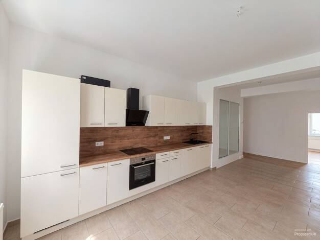 Wohnung zur Miete 1.729 € 5 Zimmer 123 m² EG frei ab sofort Hechtstraße 44 Leipziger Vorstadt Ortsamtsbereich Neustadt 01097