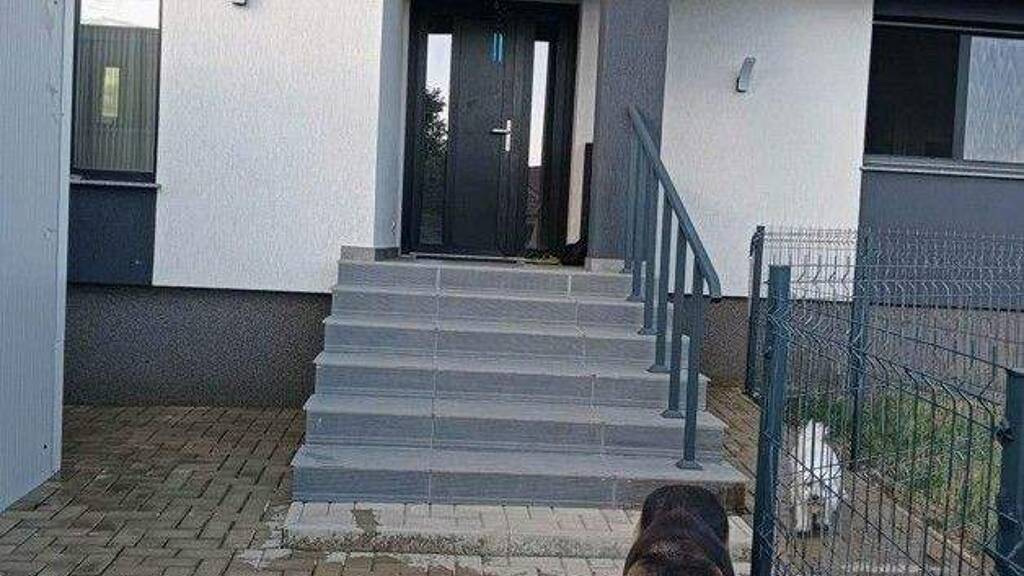 Einfamilienhaus zum Kauf 180.000 € 3 Zimmer 91 m² 119 m² Grundstück Tomesti, Iasi 707515