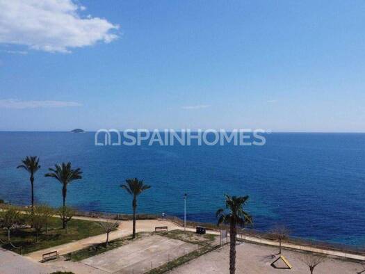 Studio zum Kauf 285.000 € 2 Zimmer 46 m² EG Alicante 03570