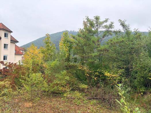 Grundstück zum Kauf 350.000 € 1.196 m² Grundstück Badenweiler 79410