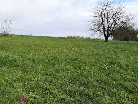 Doppelhaushälfte zum Kauf provisionsfrei 559.900 € 4 Zimmer 116 m² 307 m² Grundstück Seedorf Pentling 93080