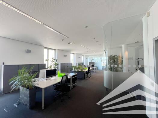 Bürofläche zur Miete 3.015 € 5,5 Zimmer 240 m² Bürofläche Haiderstrasse 23 Ansfelden 4052