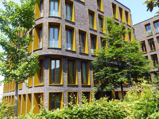 Wohnung zur Miete 20,75 € 3 Zimmer 81,5 m² Bregenz 6900