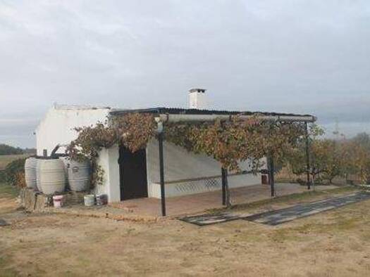 Bauernhaus zum Kauf provisionsfrei 75.000 € 3 Zimmer 90 m² 5.000 m² Grundstück Bollullos par del Condado 21710