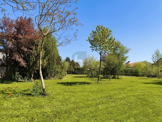 Grundstück zum Kauf 1.264 m² Grundstück Aschbach-Markt 3361