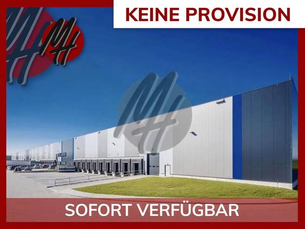 Halle/Industriefläche zur Miete provisionsfrei 8.400 m² Lagerfläche Hörstein Alzenau 63755