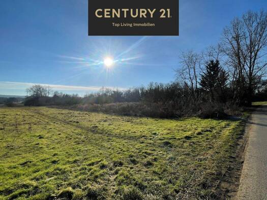 Landwirtschaftliche Fläche zum Kauf 25.500 € 1.800 m² Grundstück Budenheim 55257