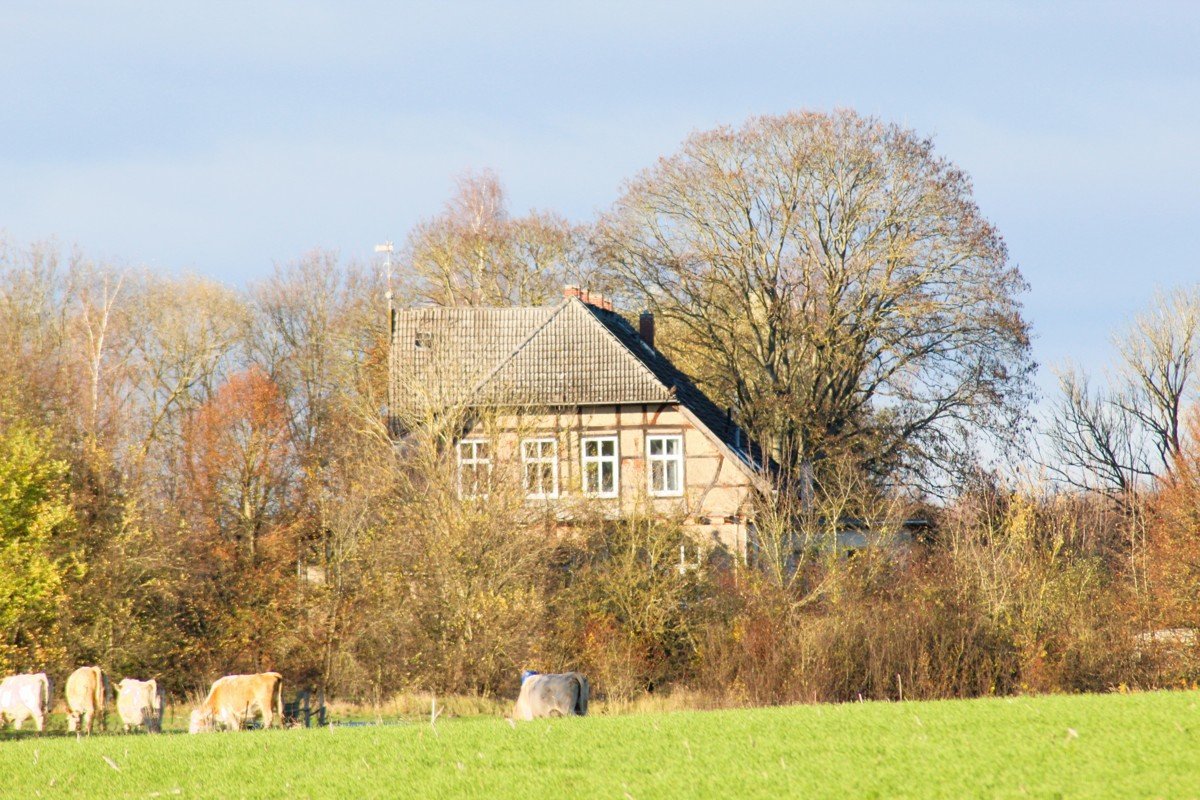 Haus zum Kauf 299.000 € 20 Zimmer 720 m²<br/>Wohnfläche 10.306 m²<br/>Grundstück Klein Lunow Boddin / Klein Lunow 17179