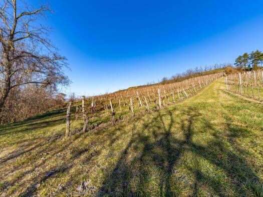 Grundstück zum Kauf 79.900 € 8.798 m² Grundstück Fahndorf 3710