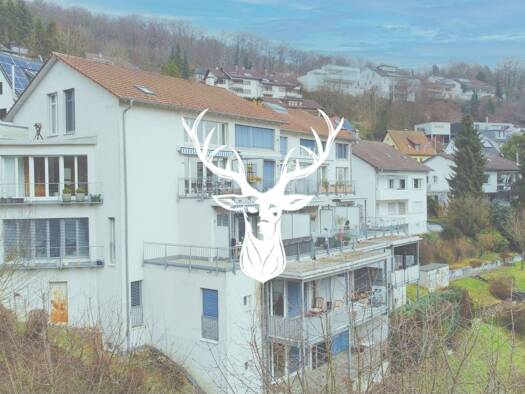 Wohnung zum Kauf 150.000 € 2,5 Zimmer 55 m² Waldshut-Tiengen 79761