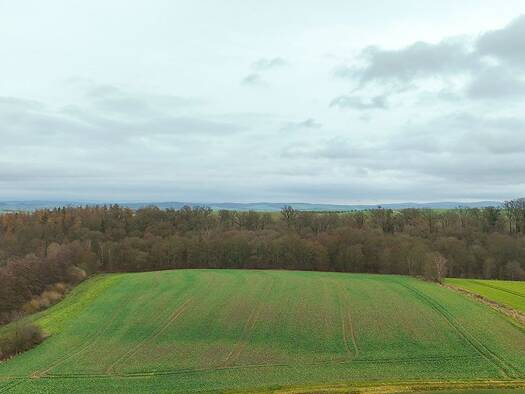 Land-/Forstwirtschaft zum Kauf 215.000 € 36.091 m² Grundstück Bernshausen Seeburg, Niedersachsen 37136