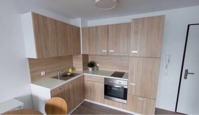 Wohnung zur Miete 900 € 1,5 Zimmer 38 m² Geschoss 5/5 frei ab 01.07.2025 Bahnstadt - Ost Heidelberg 69115