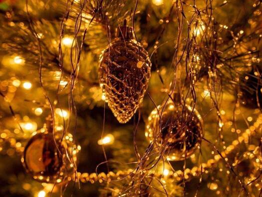 Wohnung zum Kauf - Neubau provisionsfrei 767.820 € 4 Zimmer 95 m² 1. Geschoss frei ab sofort Rollhofener Straße 32 Laufamholz Nürnberg 90482