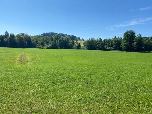 Land-/Forstwirtschaft zum Kauf 200.000 € 19.900 m² Grundstück Grub Amerang 83552