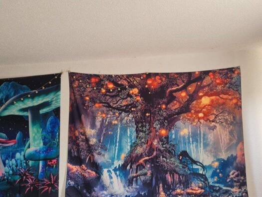 Wohnung zum Kauf 52.000 € 1 Zimmer 36,4 m² 2. Geschoss frei ab sofort Stotel Loxstedt 27612