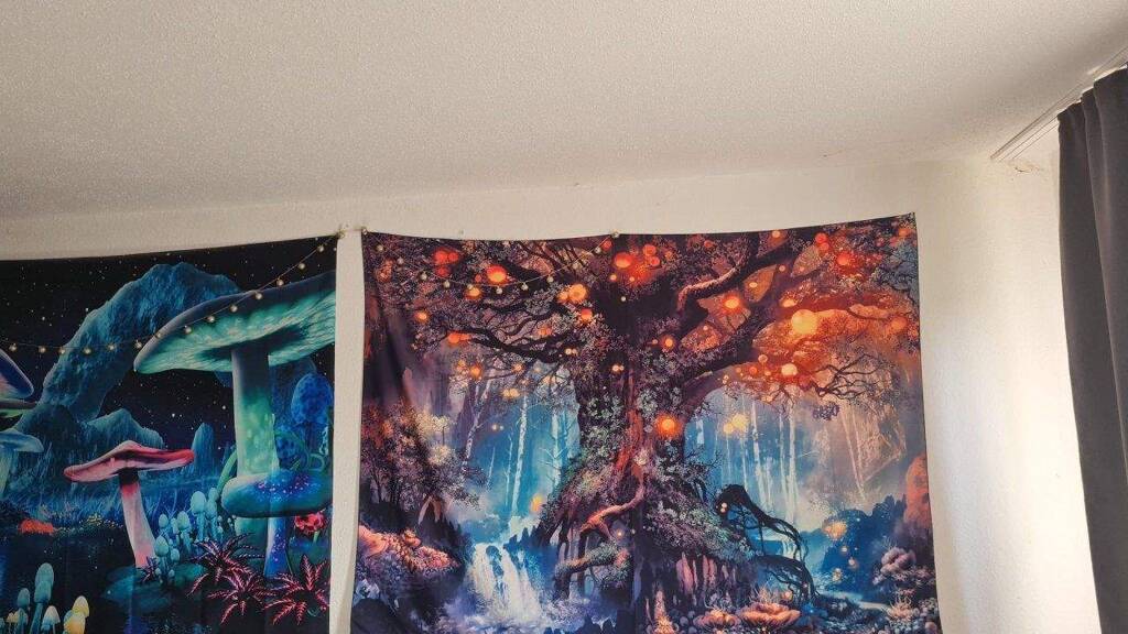 Studio zum Kauf 52.000 € 1 Zimmer 36,4 m² 2. Geschoss frei ab sofort Stotel Loxstedt 27612